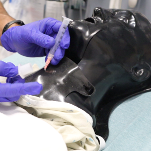 EMS Procedural Training